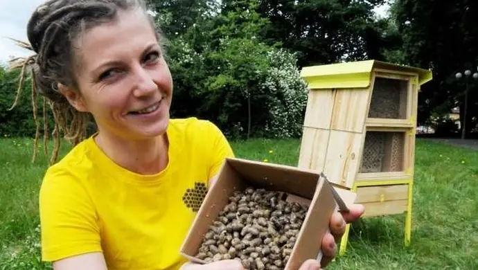 „Dni Pszczoły” w gminie Wschowa