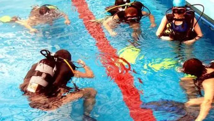 Zawody pływackie i pokaz nurkowania