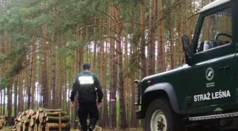 Ukradł drewno, trafił na dzielnicowych