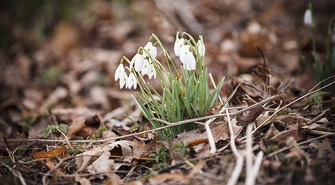 Wiosna w Lapidarium Rzeźby Nagrobnej