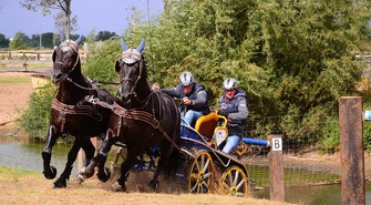 Mistrzostwa Polski Amatorów w Powożeniu Zaprzęgów