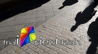 Stowarzyszeni maliniewidzialni.leszno.pl