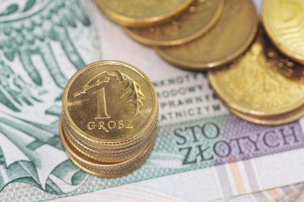 Gmina przekazała pieniądze stowarzyszeniom