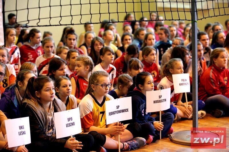 Ruszył Virtus Volley Cup 12