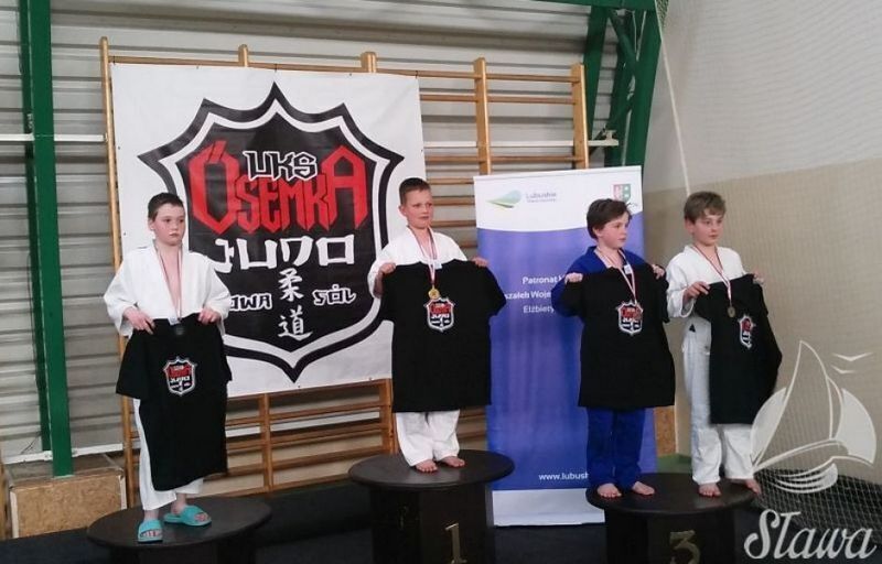 Sukcesy w mistrzostwach województwa w Judo
