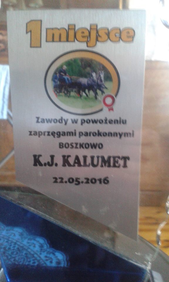 Sukcesy SKJ Tradycja w Boszkowie
