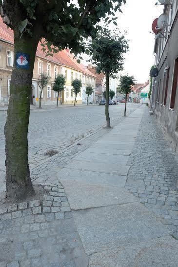 BuenCamino Wschowa