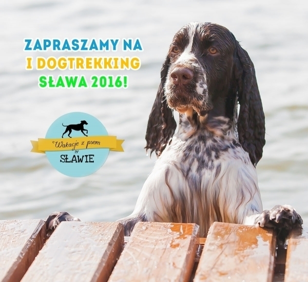 Zdjęcie 1: Przystanią SKŻ zawładną czworonogi