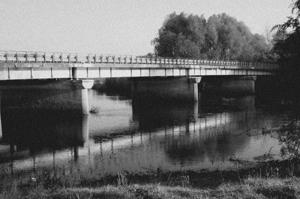 Waldemar Starosta Mamy przepiękne tereny w Szlichtyngowej. Przykładem ujście Baryczy do Odry
