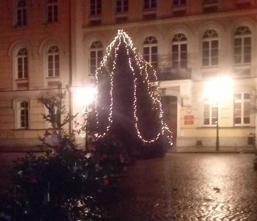 Wschowianie chcieli ubrać choinkę - oddolna akcja odwołana