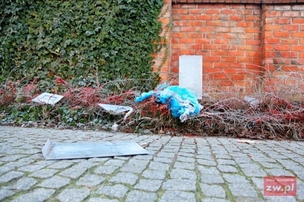 Głupota czy zwykły wandalizm