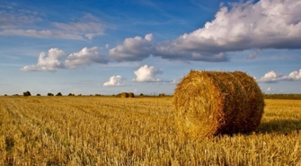 Wijewo: Szkolenie dla rolników