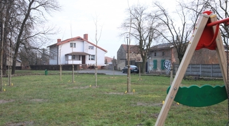 Nasadzenia drzew. Pytanie o rodzaj drzew i dlaczego w tym miejscu