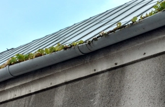 Nowy sposób ukwiecania miasta