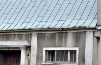 Nowy sposób ukwiecania miasta