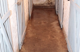 Problem z wodą gromadzącą się w piwnicy