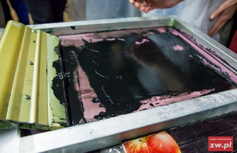 Get i 3 słonie w Muzeum Ziemi Wschowskiej