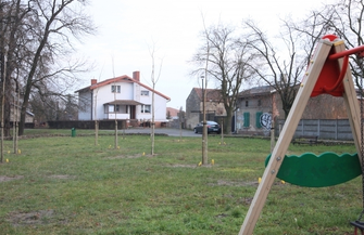 Nasadzenia drzew. Pytanie o rodzaj drzew i dlaczego w tym miejscu