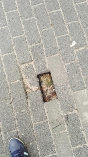 Czytelnik Potem będzie krzyk że miasto brudne ale sami je sobie zaśmiecamy