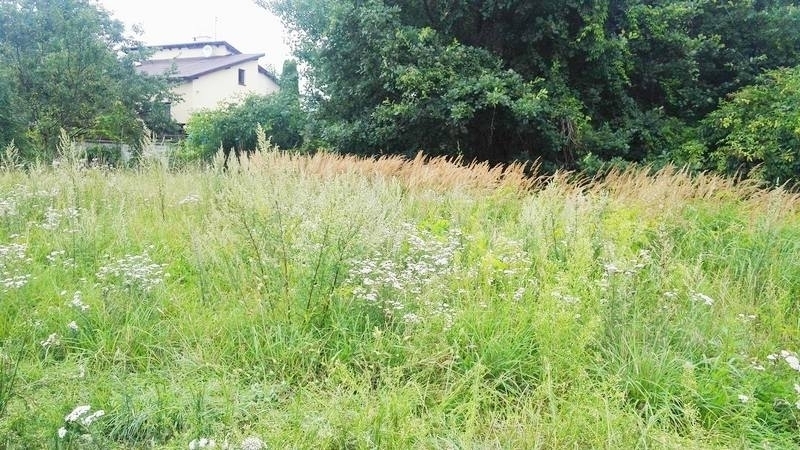 Mieszkaniec ul. Konopnickiej prosi o wsparcie