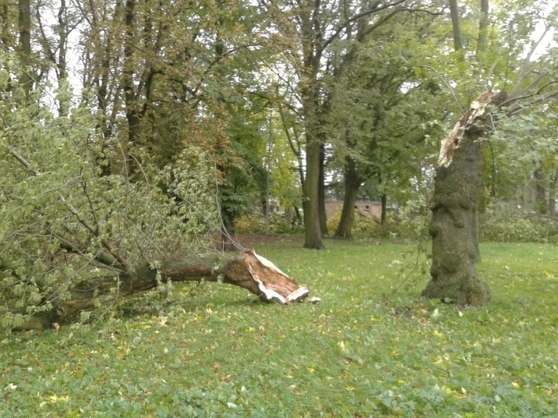 Strażacy wciąż walczą ze skutkami wichury prądu może nie być przez kilka dni