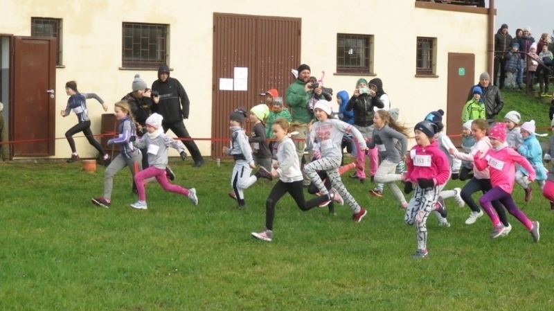 Medale SP Osowa Sień w XXVI Biegu Niepodległości