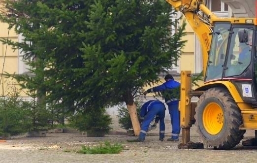 Choinka już jest wkrótce choinkowe ozdoby