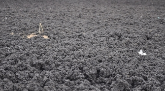 Starosta leszczyński wydał pozytywną decyzję. Firma ZbigTar może przetwarzać osady