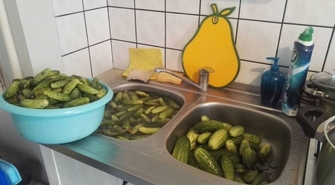 Kiszone, małosolne czy może konserwowe?