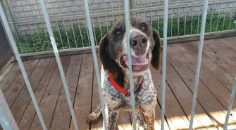 Szukamy właściciela 