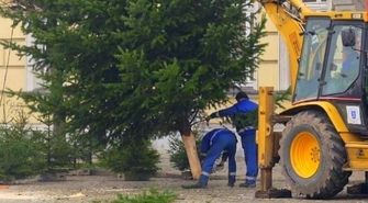 Choinka już jest, wkrótce choinkowe ozdoby