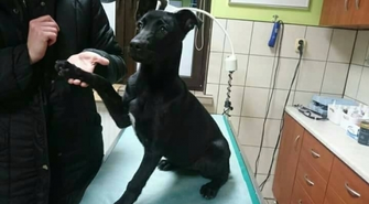 Ofiary świąt i nieprzemyślanych prezentów?