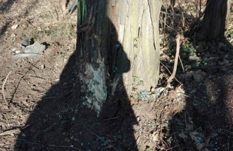 Groźny wypadek w sylwestra