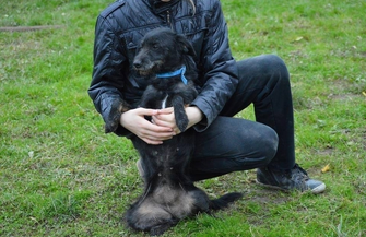 Pomóż znaleźć dom dla Soni