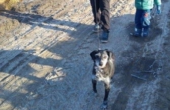 Czy ktoś jeszcze pokocha Baję