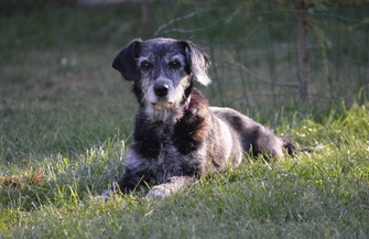 Czy ktoś jeszcze pokocha Baję