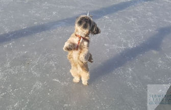 Zawody łyżwiarskie w Sławie