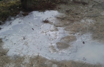 Czytelnik Potem będzie krzyk że miasto brudne ale sami je sobie zaśmiecamy