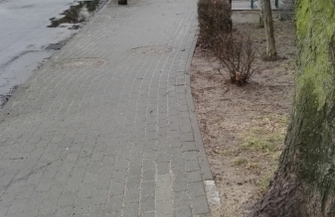 Czytelnik Potem będzie krzyk że miasto brudne ale sami je sobie zaśmiecamy