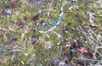 Czytelnik Potem będzie krzyk że miasto brudne ale sami je sobie zaśmiecamy