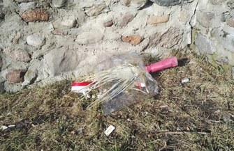 Czytelnik Mogłoby być czyściej