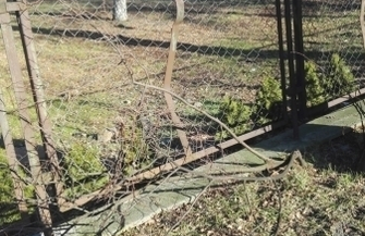 Czytelnik Mogłoby być czyściej