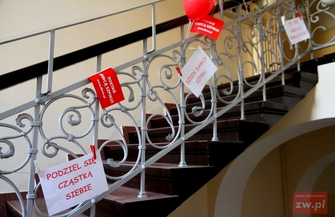 Nie bądź dzik oddaj szpik czyli komórkomania w IZS