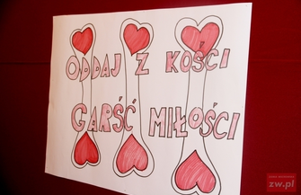 Nie bądź dzik oddaj szpik czyli komórkomania w IZS