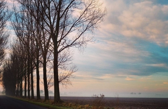 Piękno wokół nas zachwyca. Zauważmy je