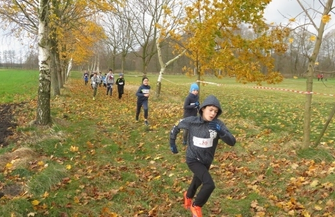 Medale SP Osowa Sień w XXVI Biegu Niepodległości