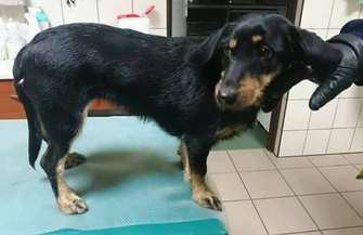 Ofiary świąt i nieprzemyślanych prezentów