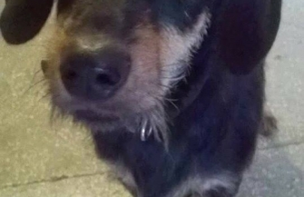 Ofiary świąt i nieprzemyślanych prezentów