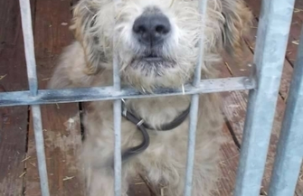 Ofiary świąt i nieprzemyślanych prezentów