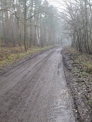 Kierowco zwolnij. Zły stan nawierzchni drogi do Czerlejewa